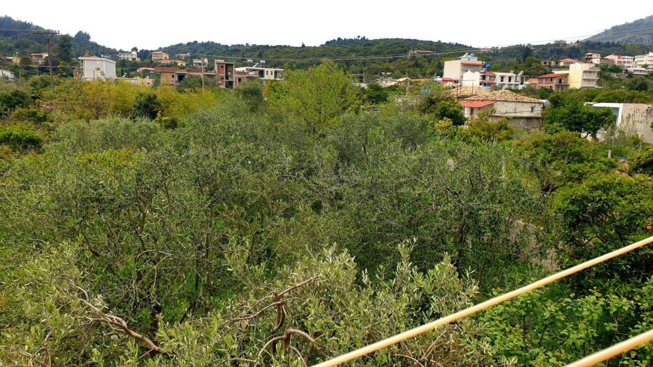 Marina Himara