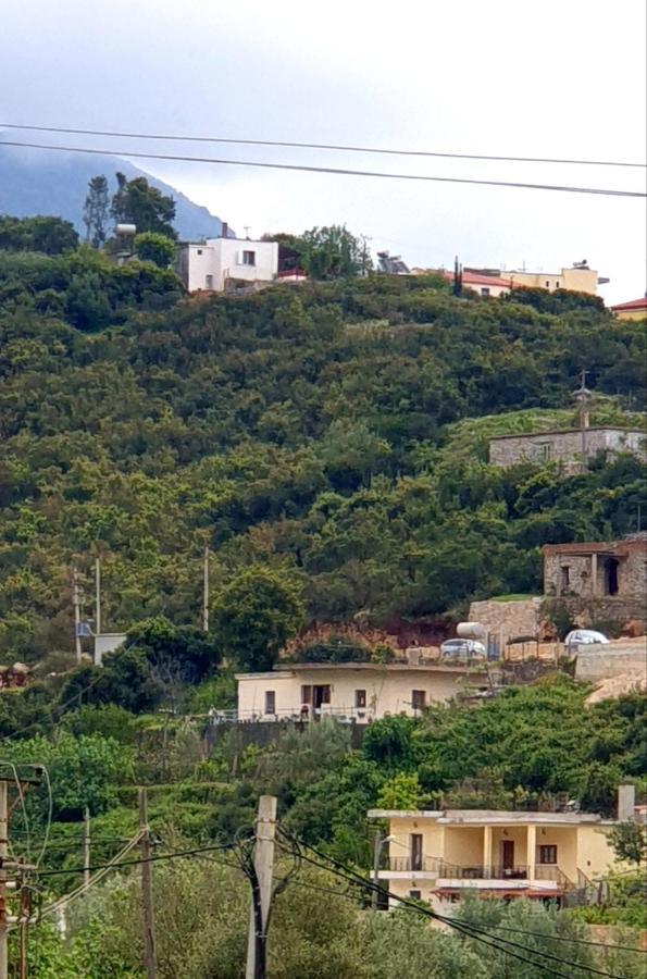 Marina Himare